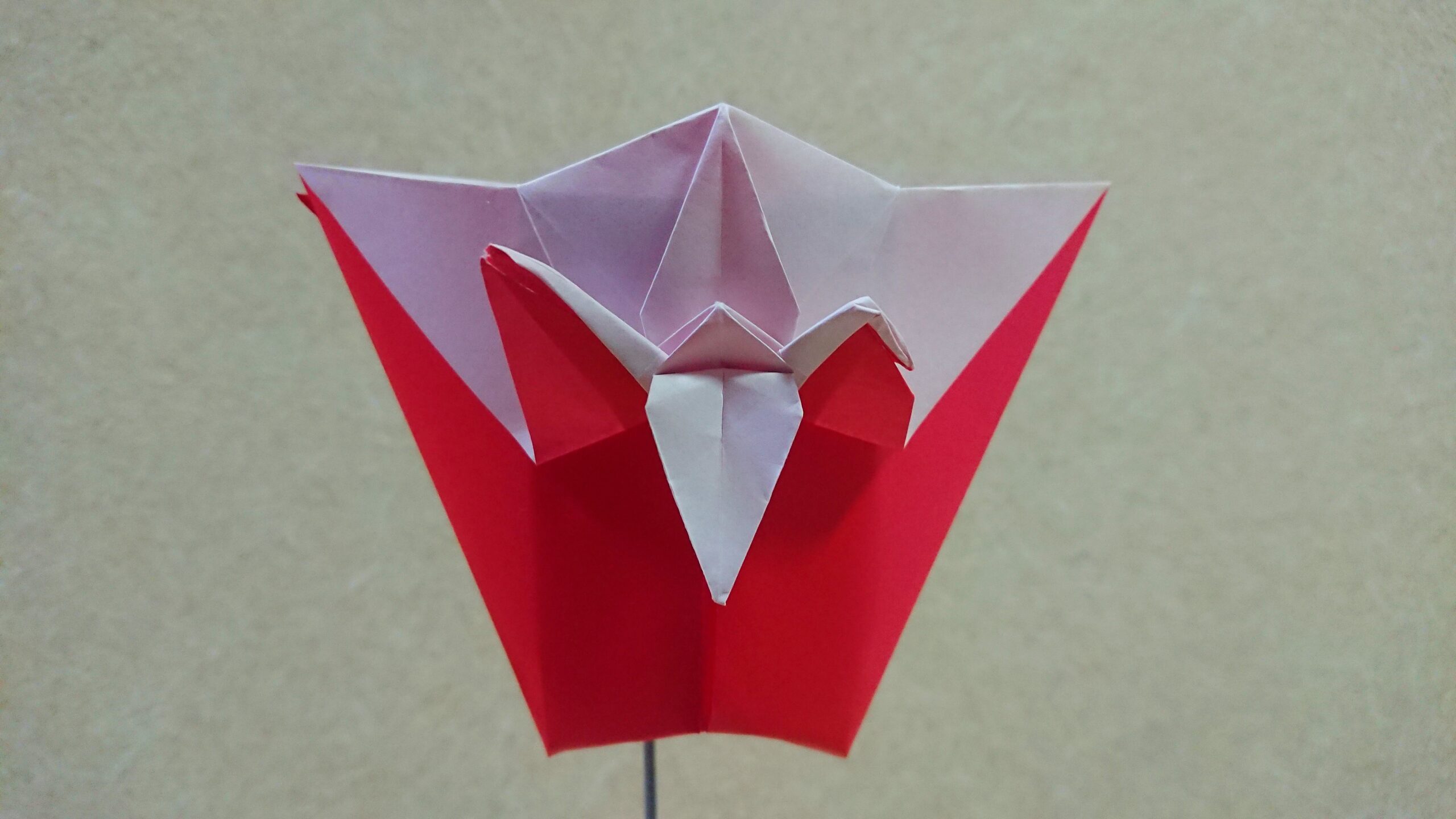 虹彩鶴頭、筒状変形鶴頭、超貴重品、市場には、先ず 出ないお品物です